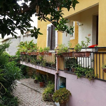 B&B Sara Ossi Exteriör bild